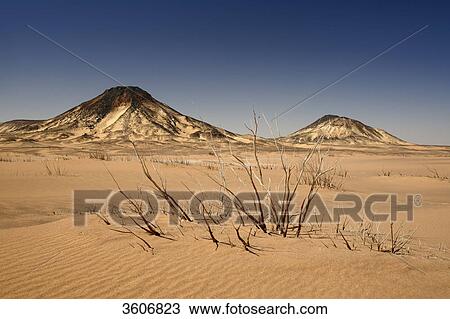 Black Desert, Libyan Desert, Egypt, Africa View Large Photo Image Stock Image - Black Desert, Libyan Desert, Egypt, Africa . Fotosearch