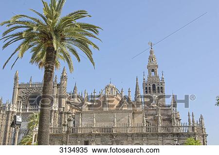 Cathedral, Sevilla, Andalucia, Spain View Large Photo Image Stock Photography - Cathedral, Sevilla, Andalucia, Spain . Fotosearch