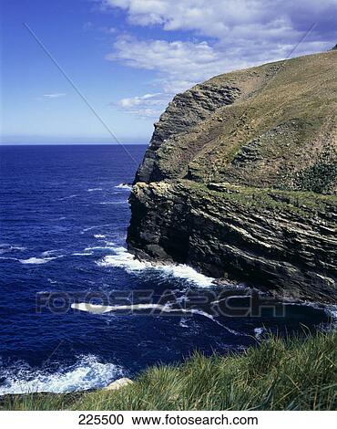 Cliff at coast, Falkland Islands View Large Photo Image Stock Image - Cliff at coast, Falkland Islands . Fotosearch