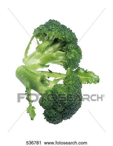 Close-up of broccoli View Large Photo Image Stock Image - Close-up of broccoli . Fotosearch