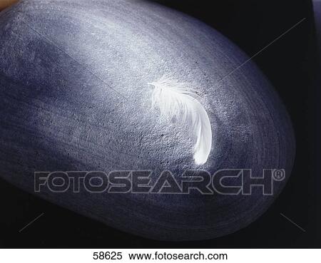 Close-up of feather View Large Photo Image Stock Photography - Close-up of feather . Fotosearch