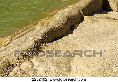 Close-up of pond View Large Photo Image Stock Image - Close-up of pond . Fotosearch