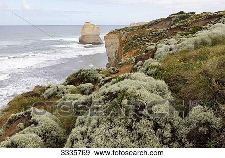 Coast in Port Campbell National Park, Australia, elevated view View Large Photo Image Stock Photo - Coast in Port Campbell National Park, Australia, elevated view . Fotosearch