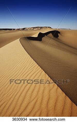 Desert landscape with sand dunes, Libyan Desert, Egypt View Large Photo Image Picture - Desert landscape with sand dunes, Libyan Desert, Egypt . Fotosearch