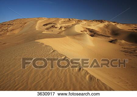 Desert landscape with sand dunes, Libyan Desert, Egypt View Large Photo Image Stock Photo - Desert landscape with sand dunes, Libyan Desert, Egypt . Fotosearch