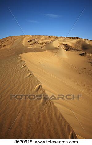 Desert landscape with sand dunes, Libyan Desert, Egypt View Large Photo Image Stock Photo - Desert landscape with sand dunes, Libyan Desert, Egypt . Fotosearch