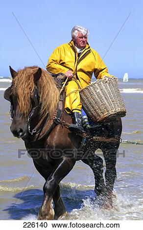 Fisherman riding horse on beach, Belgium View Large Photo Image Stock Image - Fisherman riding horse on beach, Belgium . Fotosearch