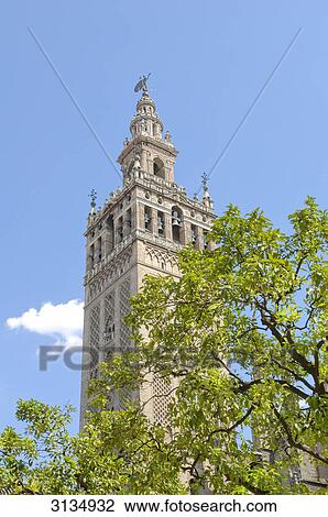 Giralda tower, Sevilla, Andalucia, Spain View Large Photo Image Stock Image - Giralda tower, Sevilla, Andalucia, Spain . Fotosearch