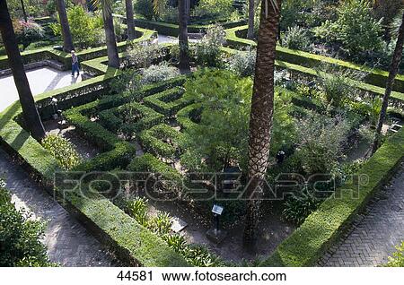 Stock Image - Hedge in a garden, Alcazar Palace, Seville, Andalusia, Spain . Fotosearch