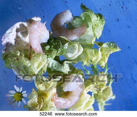 High angle view of a shrimp and lettuce salad View Large Photo Image Stock Photograph - High angle view of a shrimp and lettuce salad . Fotosearch