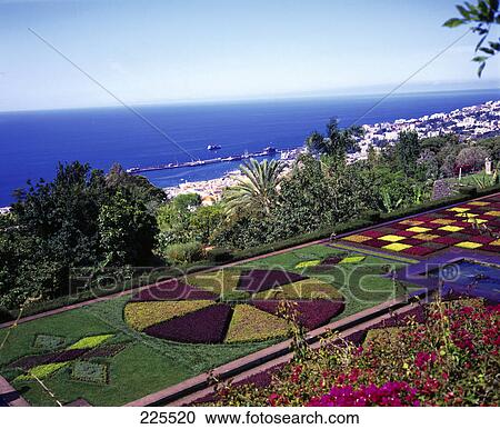 High angle view of botanical gardens on island at coast View Large Photo Image Stock Image - High angle view of botanical gardens on island at coast . Fotosearch