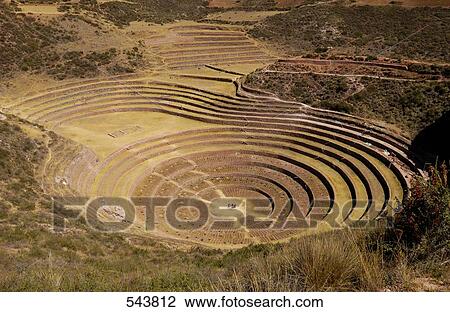 High angle view of old ruins of terraced fields, Inca Ruins, Moray, Cusco Region, Peru View Large Photo Image Stock Image - High angle view of old ruins of terraced fields, Inca Ruins, Moray, Cusco Region, Peru . Fotosearch