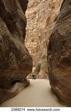 Horsedrawn carriage in canyon, Petra, Wadi Musa, Jordan View Large Photo Image Picture - Horsedrawn carriage in canyon, Petra, Wadi Musa, Jordan . Fotosearch