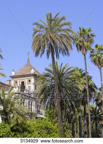 Hotel Alfonso XIII, Sevilla, Andalucia, Spain View Large Photo Image Stock Photo - Hotel Alfonso XIII, Sevilla, Andalucia, Spain . Fotosearch