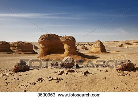 Landscape at Wadi Hitan, Libyan Desert, Egypt View Large Photo Image Stock Image - Landscape at Wadi Hitan, Libyan Desert, Egypt . Fotosearch