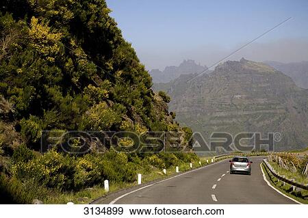 Stock Photo - Landscape, Madeira, Portugal . Fotosearch