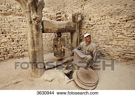 Man at an olive squeezer in the old town Al-Qasr, Dakhla Oasis, Libyan Desert, Egypt View Large Photo Image Picture - Man at an olive squeezer in the old town Al-Qasr, Dakhla Oasis, Libyan Desert, Egypt . Fotosearch