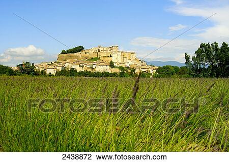 Panoramic view of lavender field with town in background, Grignan, France View Large Photo Image Stock Image - Panoramic view of lavender field with town in background, Grignan, France . Fotosearch