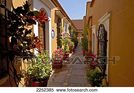Stock Photography - Potted plants outside houses in alley, Oaxaca, Mexico . Fotosearch