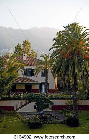Quinta da Bela Vista, Funchal, Madeira, Portugal View Large Photo Image Stock Image - Quinta da Bela Vista, Funchal, Madeira, Portugal . Fotosearch