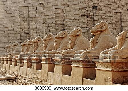 Stock Photo - Ram-headed sphinxes, Temple of Karnak, Karnak, Egypt, Africa . Fotosearch