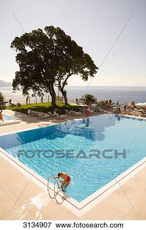 Reid's Palace, Funchal, Madeira View Large Photo Image Stock Photo - Reid's Palace, Funchal, Madeira . Fotosearch