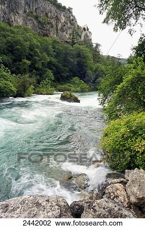 River flowing through forest, Fontaine de Vaucluse, Provence-Alpes-Cote D'azur, France View Large Photo Image Stock Image - River flowing through forest, Fontaine de Vaucluse, Provence-Alpes-Cote D'azur, France . Fotosearch