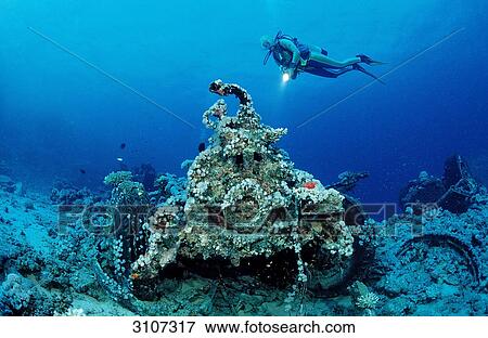 Scuba diver and car wreck, Shaab Suadi, Sudan, Red Sea View Large Photo Image Stock Photo - Scuba diver and car wreck, Shaab Suadi, Sudan, Red Sea . Fotosearch