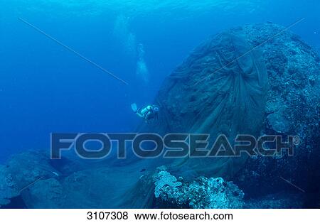 Scuba diver discovering lost fishnet over coral reef, Malaysia, South Chinese Sea, underwater shot View Large Photo Image Stock Photo - Scuba diver discovering lost fishnet over coral reef, Malaysia, South Chinese Sea, underwater shot . Fotosearch