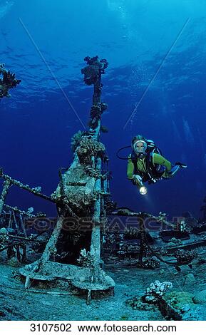 Scuba diver explores unknown ship wreck, Zabargad, Egypt, Red Sea View Large Photo Image Stock Image - Scuba diver explores unknown ship wreck, Zabargad, Egypt, Red Sea . Fotosearch