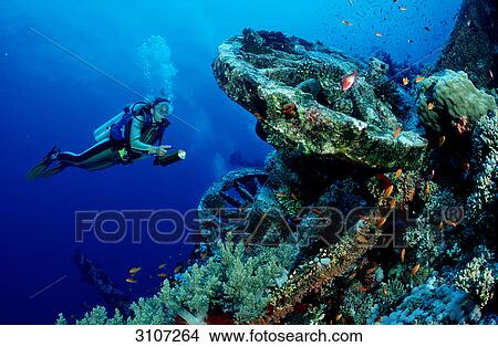 Picture - Scuba diver exploring wreck of a train (on wreck of Aida), Brother Islands, Red Sea, Egypt . Fotosearch