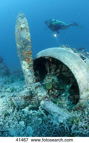 Scuba diver flashing light on bomberwreck underwater, Papua New Guinea View Large Photo Image Stock Photo - Scuba diver flashing light on bomberwreck underwater, Papua New Guinea . Fotosearch