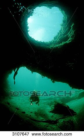 Scuba diver in underwater cave, Bahamas, West Indies View Large Photo Image Stock Photo - Scuba diver in underwater cave, Bahamas, West Indies . Fotosearch