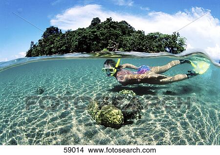 Side profile of young woman snorkeling underwater View Large Photo Image Picture - Side profile of young woman snorkeling underwater . Fotosearch