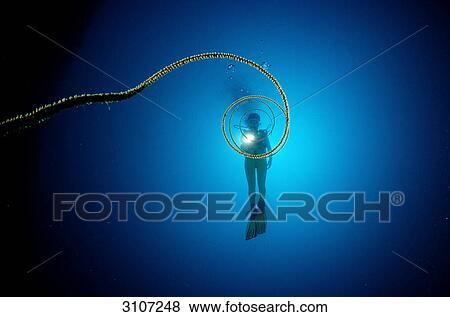 Stock Photo - Spiral wire coral (Cirrhipathes spiralis) and scuba diver, Ari Atoll, Maldives, Indian Ocean, underwater shot . Fotosearch