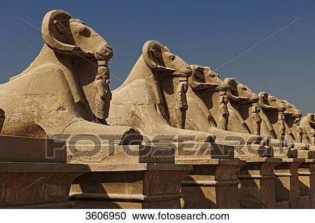 Temple of Karnak, Egypt, Africa View Large Photo Image Stock Image - Temple of Karnak, Egypt, Africa . Fotosearch