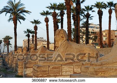 Temple of Luxor, Luxor, Egypt, Africa View Large Photo Image Stock Photo - Temple of Luxor, Luxor, Egypt, Africa . Fotosearch