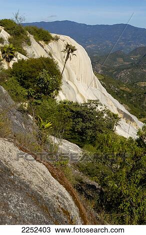 Stock Image - Trees on mountain . Fotosearch