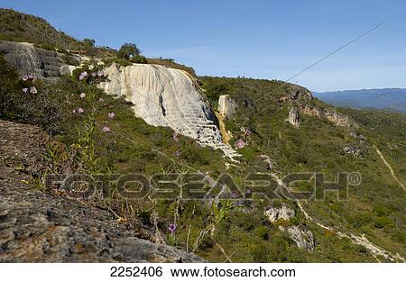 Trees on mountain View Large Photo Image Stock Photograph - Trees on mountain . Fotosearch