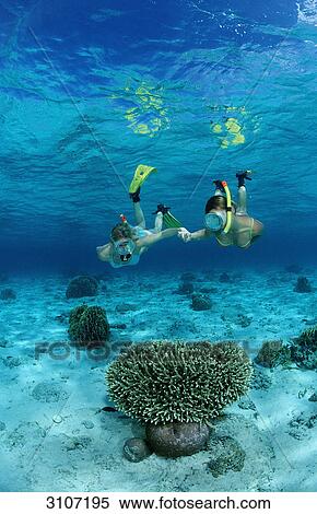 Stock Photography - Two young woman snorkeling, Bali, Indian Ocean, underwater shot . Fotosearch