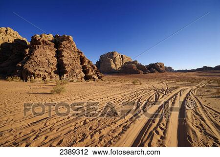 Tyre tracks in desert, Wadi Rum, Jordan View Large Photo Image Stock Image - Tyre tracks in desert, Wadi Rum, Jordan . Fotosearch