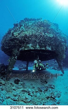 Underwater habitat Precontinent II, Shaab Rhumi, Sudan, Red Sea, underwater shot View Large Photo Image Stock Image - Underwater habitat Precontinent II, Shaab Rhumi, Sudan, Red Sea, underwater shot . Fotosearch