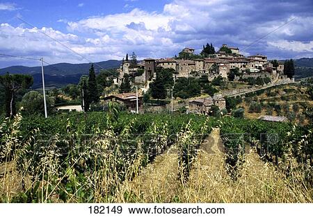 Vineyard in front of town, Montefioralle, Tuscany, Italy View Large Photo Image Stock Photo - Vineyard in front of town, Montefioralle, Tuscany, Italy . Fotosearch