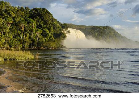 Waterfall in forest, Salto Hacha, Canaima National Park, La Gran Sabana, Venezuela View Large Photo Image Stock Image - Waterfall in forest, Salto Hacha, Canaima National Park, La Gran Sabana, Venezuela . Fotosearch