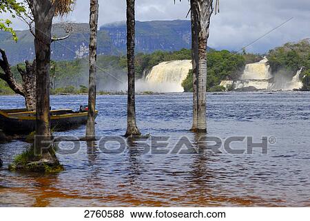 Waterfalls in forest, Salto Wadaima, Salto Hacha, Canaima National Park, La Gran Sabana, Venezuela View Large Photo Image Stock Photo - Waterfalls in forest, Salto Wadaima, Salto Hacha, Canaima National Park, La Gran Sabana, Venezuela . Fotosearch