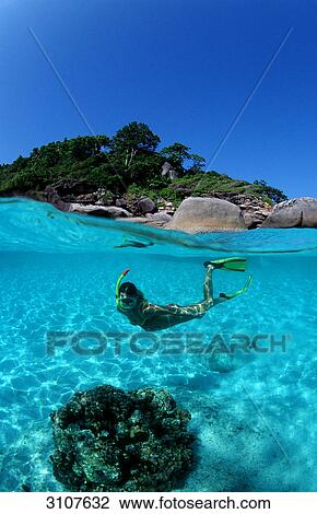 Stock Image - Woman snorkeling near tropical island, Similan Islands, Thailand, Andaman Sea, underwater shot . Fotosearch
