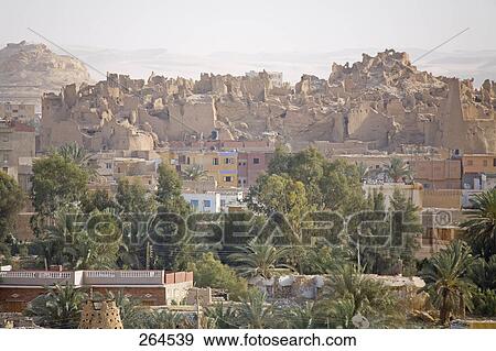 建物 そして 木 中に 都市 Siwa オアシス リビア 砂漠 エジプト 写真館 イメージ館 Fotosearch