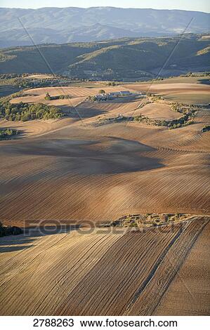 Aerial view of cultivated field, Valensole, Alpes-de-Haute-Provence, Provence-Alpes-Cote d'Azur, France View Large Photo Image Stock Image - Aerial view of cultivated field, Valensole, Alpes-de-Haute-Provence, Provence-Alpes-Cote d'Azur, France . Fotosearch