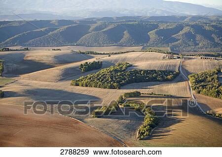 Aerial view of cultivated field, Valensole, Alpes-de-Haute-Provence, Provence-Alpes-Cote d'Azur, France View Large Photo Image Stock Photo - Aerial view of cultivated field, Valensole, Alpes-de-Haute-Provence, Provence-Alpes-Cote d'Azur, France . Fotosearch
