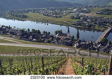 Aerial view of houses in town, Piesport, Moselle River, Rhineland-Palatinate, Germany View Large Photo Image Stock Image - Aerial view of houses in town, Piesport, Moselle River, Rhineland-Palatinate, Germany . Fotosearch